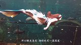 “美人鱼”被冲上岸，众人前去围观，老渔民一眼便认出此生物