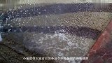 看看人家是怎么洗地毯的看得太过瘾了，几乎治好了多年的强迫症