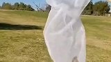 小伙抓到一直蝴蝶之后却引来一群