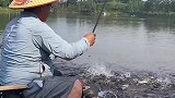万鲫之中只取白条首级，河畔看到的大爷，您这操作没谁了！