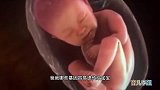 宝宝出生遗传谁的基因比较多