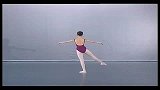 健美健身-芭蕾舞蹈基本功教学 (9)-专题