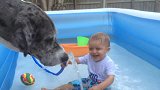 小男生坐在水池里，小狗狗把头伸过来，他们玩的超级开心