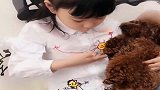 小主人抱小孩一样地抱着狗狗，还要把自己的传家宝传给狗狗