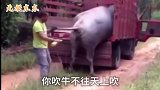搞笑配音 -为什么你吹牛不往天上吹，却往车上吹？