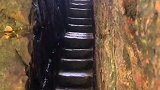 张家界美景之三，太漂亮了