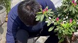 小菜园被我老公改成了牡丹园，虽然没有了萝卜青菜，但我老公说 秀色也一样可餐田园生活 猫