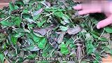 吃不完的香椿不要直接放冰箱！老菜农教我土方法，放1年照样新鲜