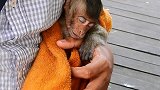 小猴子觉得很温暖，很幸福，就好像在温柔男人的手上睡得那么好