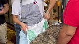 你知道这是什么吗