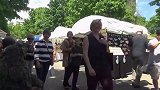 伪装成植物在街上恶搞路人，被吓到的路人非常尴尬
