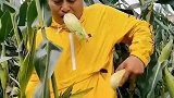 被这两个硬生生的汉子笑翻，这剧本,翻转得太突然了!