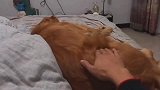 一个来自吃货的自我修养 。