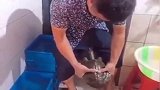 死咬着不放！！笑死了！哈哈哈哈哈哈哈！