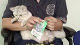 这个鲜包挺好的，猫吃的老香了