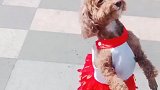 公园溜达一圈