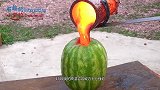能在岩浆里游泳的鱼有多厉害？小伙作死测试，你猜结果会怎样