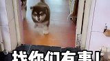 差一点就在厕所出不来了！有意思
