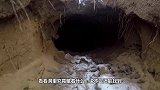 男子在自家玉米地发现个洞，埋头凑近一看，结果藏着这货！