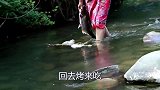 运气来了挡都挡不住，荒野村花河边转转，都能捡条鱼，午饭有了
