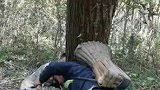 八零后男子背几百斤树段下山，一筐一肩走山路二百多米