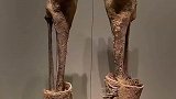 新疆和田博物馆收藏的穿靴小腿，年代为公元前21至15世纪，距今至少有3500年