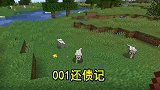我的世界联机53：为了向小帕道歉，零零幺采花还债