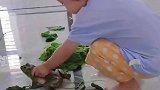 等娃长大了给她看，她应该会怀疑人生吧！