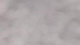 一直追着人的小狗