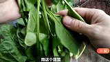 用1把菠菜和1小碗花生米，做成的凉拌菜，好吃开胃，下酒又下饭
