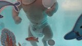 小宝宝自由自在的游泳，不知道发生了什么，宝宝突然大叫了一声！