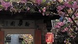 《都挺好》取景地，苏州平江路，你喜欢吗？