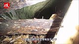 50年前开凿的枯井，突然变得不正常！抽干水后眼前景象不敢相信