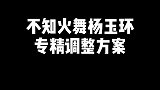 不知火舞和杨玉环的新调整思路