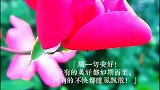 愿一切安好！所有的美好都如期而来，所有的不快都随风飘散！