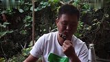 历经21天，没有白忙，大哥孵的小鸡终于成功了，高兴坏了