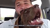 新玩法：老外恶作剧让狗开车，售货员反应会如何？