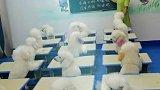 东张西望的狗狗在想啥呢