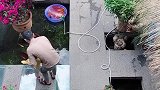 这么美的院子，是不是你想体验的丽江生活？