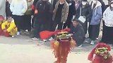 这两个小狮子太可爱了吧