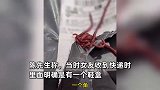 女子拆网购快递，打开一角竟涌出数条蚯蚓，商家沟通未果平台介入