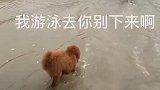 豆花第一次游泳有点害怕