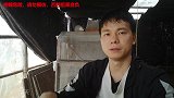 虎头蜂红娘人工养殖，每天喂养终于等到它出工作蜂了