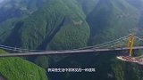 世界上最特殊的桥梁，用竹子建造而成，一天可收200万过路费！
