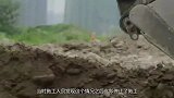专家发现明朝合葬墓，棺材在水里漂浮600年，为打捞挖平半座山
