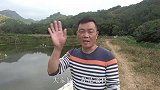 老林今年3月份在堂哥那拿了笋壳鱼回来养，笋壳鱼最爱吃小虾了