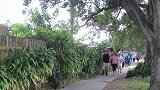 树人恐吓恶作剧，男子伪装成树人恶搞路人，路人非常害怕