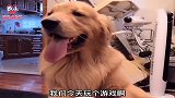 当家里垃圾桶满了，果皮往哪扔呢？垃圾分类狗狗帮忙来解决！真逗