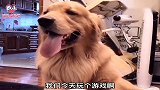 当家里垃圾桶满了，果皮往哪扔呢？垃圾分类狗狗帮忙来解决！真逗