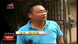 新闻夜航-20120507-大叶黄杨树光秃秃.都是虫子惹的祸